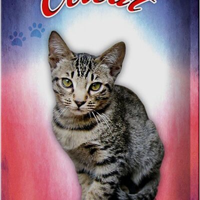 Plaque en tôle chat 20x30cm décoration murale Ocicat