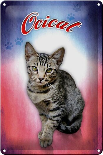 Plaque en tôle chat 20x30cm décoration murale Ocicat 1