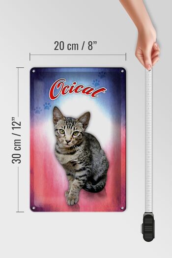 Plaque en tôle chat 20x30cm décoration murale Ocicat 4