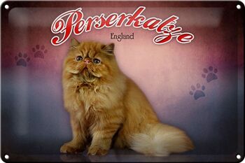 Plaque en tôle chat 30x20cm chat persan Angleterre décoration murale 1