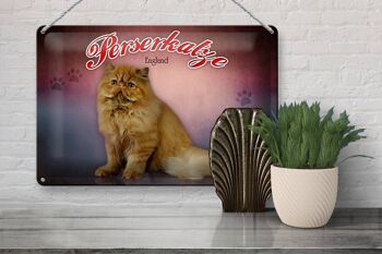 Plaque en tôle chat 30x20cm chat persan Angleterre décoration murale 3