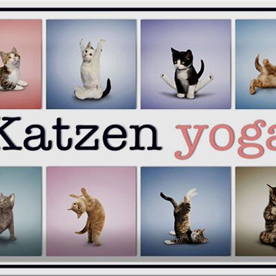 Cartel de chapa gato 30x20cm gatos yoga decoración colorida