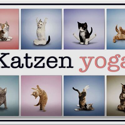 Tin sign cat 30x20cm cats yoga colorful decoration