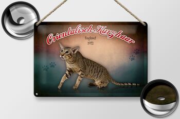 Plaque en tôle chat 30x20cm Oriental Shorthair Angleterre 2