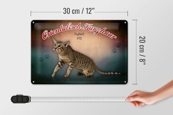 Plaque en tôle chat 30x20cm Oriental Shorthair Angleterre 4