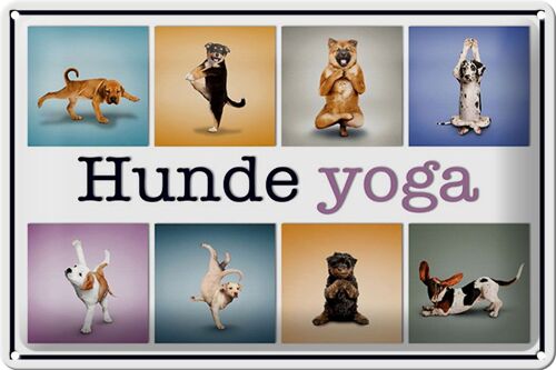 Blechschild 30x20cm Hunde Yoga bunte Dekoration