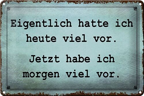 Blechschild Spruch 30x20cm eigentlich hatte ich viel vor