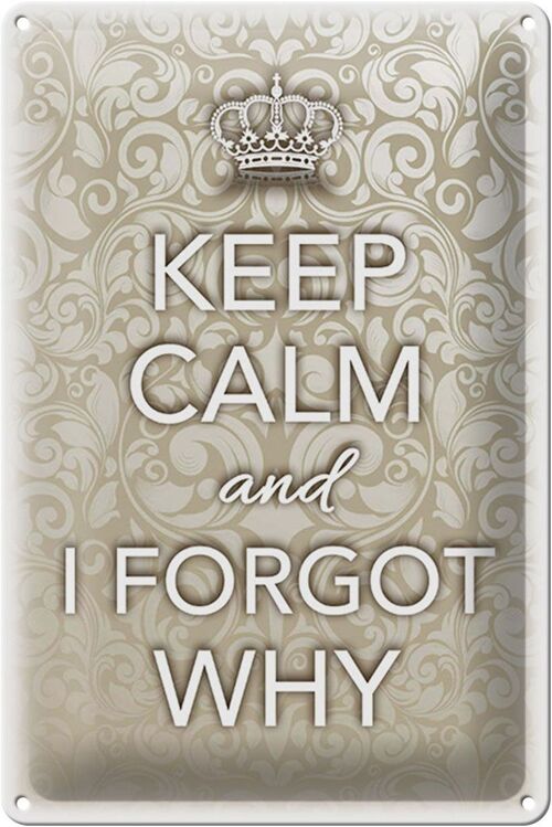 Blechschild Spruch 20x30cm Keep Calm and i forgot why