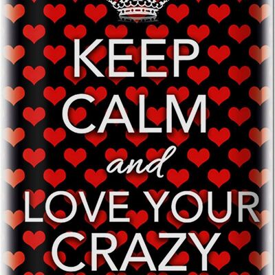 Blechschild Spruch 20x30cm Keep Calm and love crazy friends