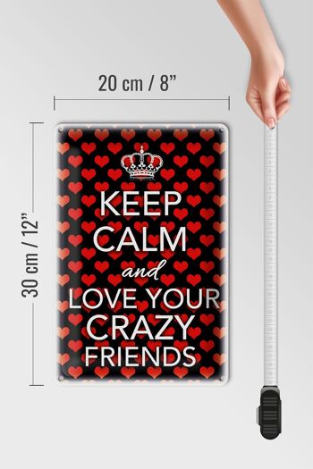 Panneau en étain disant 20x30cm Keep Calm and love crazy friends 4