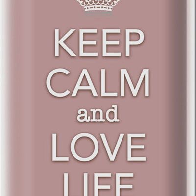 Blechschild Spruch 20x30cm Keep Calm and love life