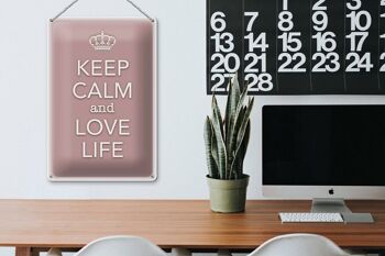 Panneau en étain disant 20x30cm Keep Calm and love life 3