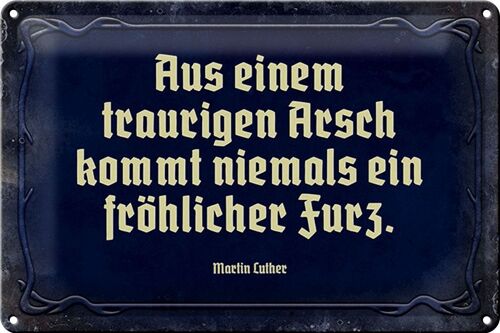 Blechschild Spruch 30x20cm aus einem traurigen Arsch kommt