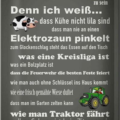 Blechschild Spruch 20x30cm ich bin stolz Dorfkind zu sein