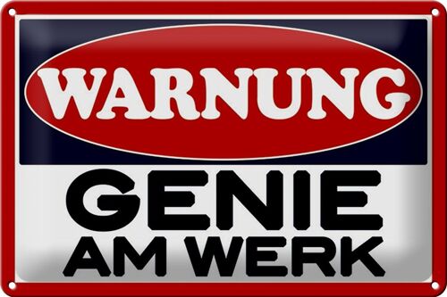 Blechschild Spruch 30x20cm Warnung Genie am Werk