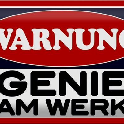 Blechschild Spruch 30x20cm Warnung Genie am Werk