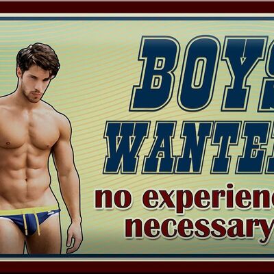 Blechschild Spruch30x20cm Boys wanted no experience