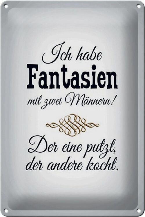 Blechschild Spruch 20x30cm Fantasien zwei Männer 1 putzt