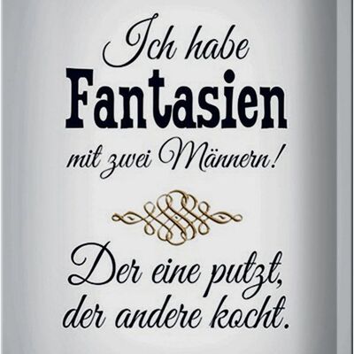 Blechschild Spruch 20x30cm Fantasien zwei Männer 1 putzt