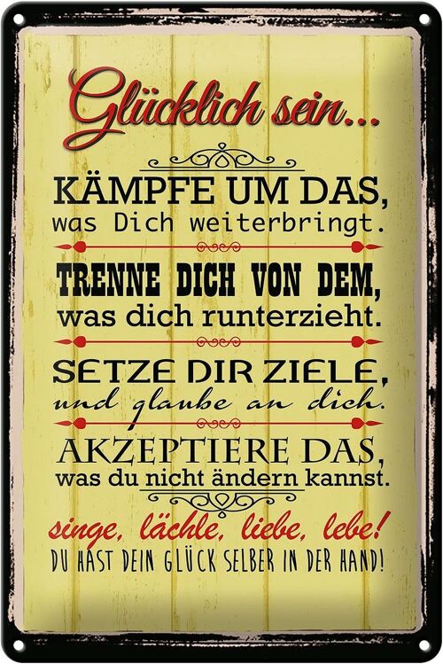 Blechschild Spruch 20x30cm Glücklich singe lächle liebe