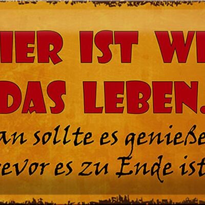 Blechschild Spruch 30x20cm Bier ist wie das Leben man soll