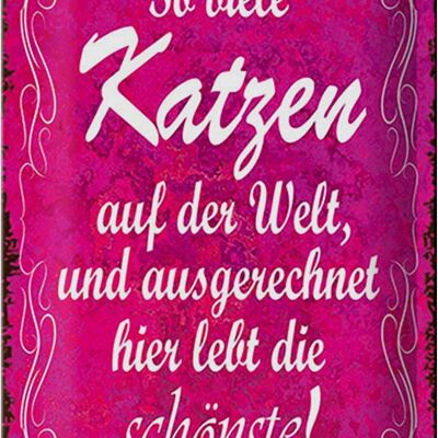 Blechschild Spruch 20x30cm so vilele Katzen auf der Welt