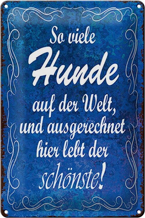 Blechschild Spruch 20x30cm so vielen Hunde auf der Welt