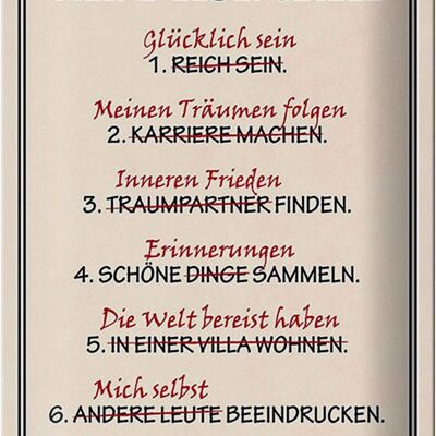 Blechschild Spruch 20x30cm meine Lebensziele glüpcklich