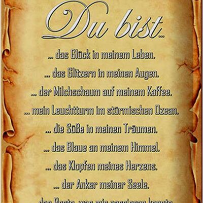 Blechschild Spruch 20x30cm Du bist Glück in meinem Leben