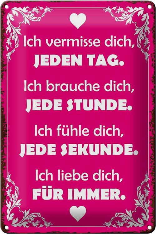 Blechschild Spruch 20x30cm ich vermisse dich jeden Tag