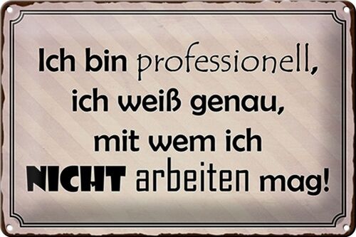 Blechschild Spruch 30x20cm ich bin professionell ich weiß