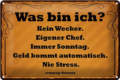 Blechschild Spruch 30x20cm was bin ich kein Wecker