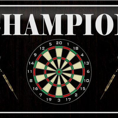 Blechschild Spruch 30x20cm Darts Champion