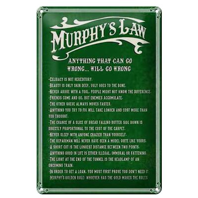 Blechschild Spruch 20x30cm Murphy's Law Anything That Can