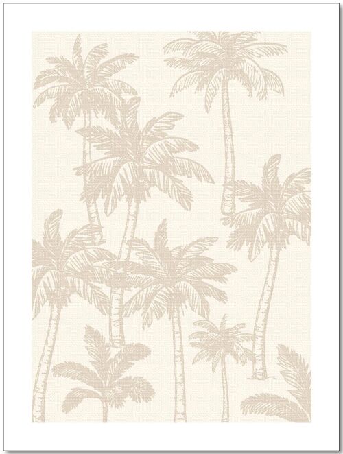 Poster 30x40 | Palmtrees