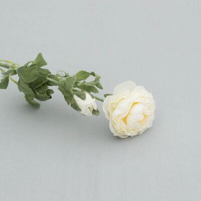 Ranunculus branch x 2, L=40 cm, cream/white