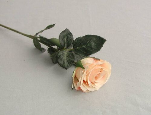 Rose 'Madame' gefüllt, L= 37 cm, lachs