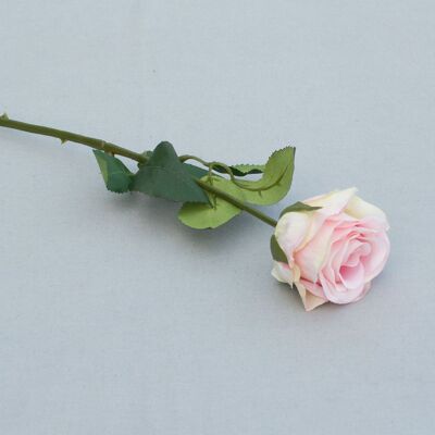 Rose 'Madame', gefüllt, L= 37 cm, hellrosa