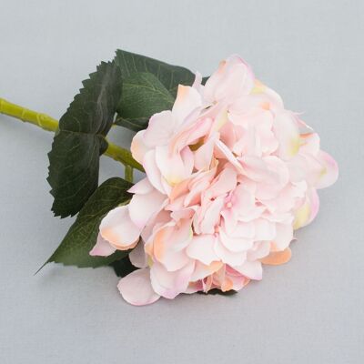 Hortensia, L=48 cm, rosa claro
