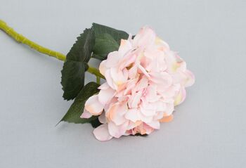 Hortensia, L=48 cm, rose clair