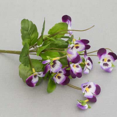 Arbusto violeta cornudo, L = 20 cm, violeta
