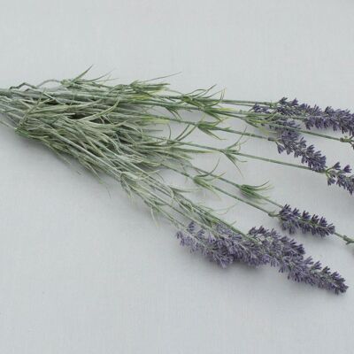 Lavendelbusch 'Premium' x 15, L= 63 cm, lila