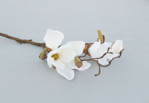 Magnolienzweig, L= 48 cm, weiß-creme