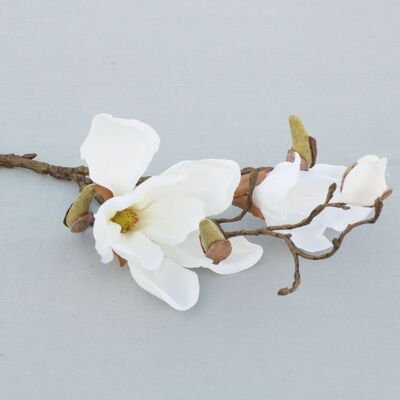 Branche de magnolia, L = 48 cm, blanc-crème