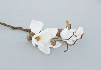 Branche de magnolia, L = 48 cm, blanc-crème