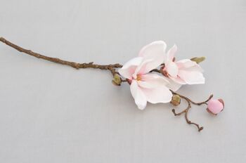 Branche de magnolia, L = 48 cm, rose crème