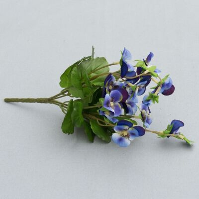 Buisson de violette cornue, L = 20 cm, bleu-violet