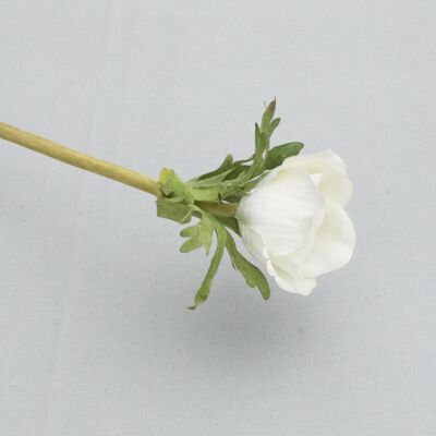 Anemone, L= 36 cm, cream