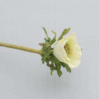 Anemone, L= 36 cm, grün