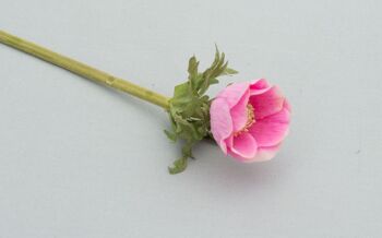 Anémone, L= 36 cm, rose-rose